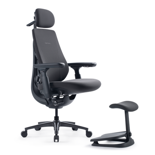 Scaun ergonomic LiberNovo Maxis pentru staturi mari · ergoliv
