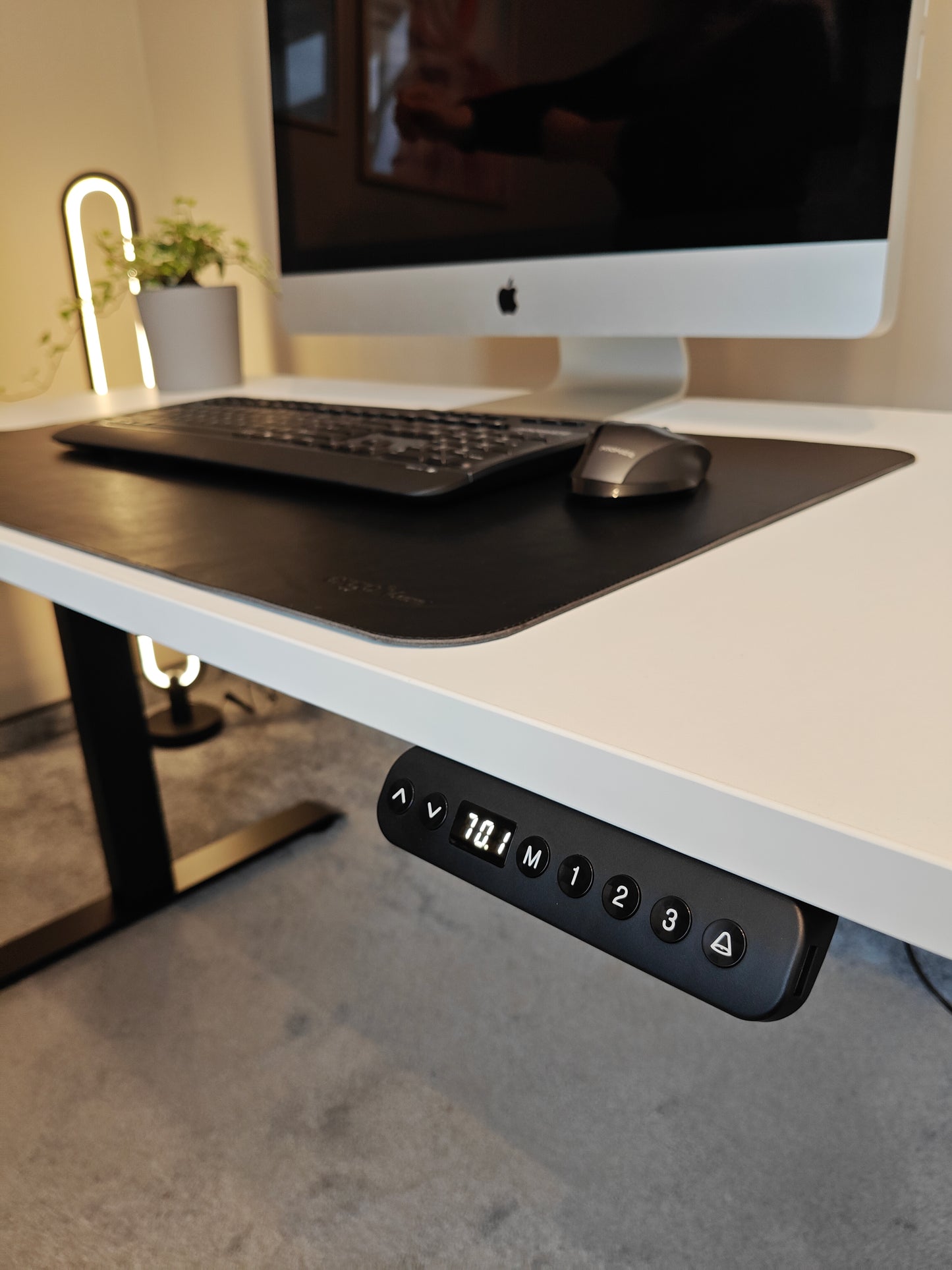 Luna Pro Desk