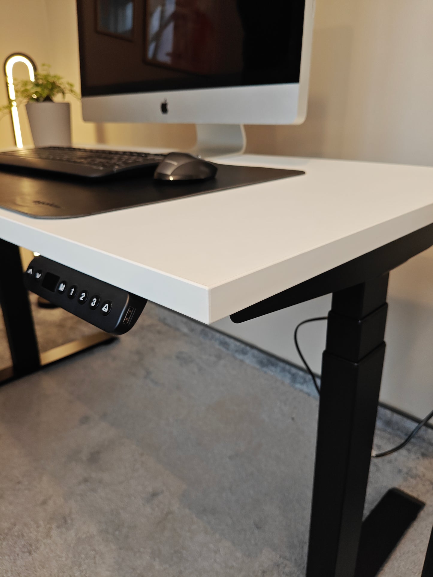 Luna Pro Desk