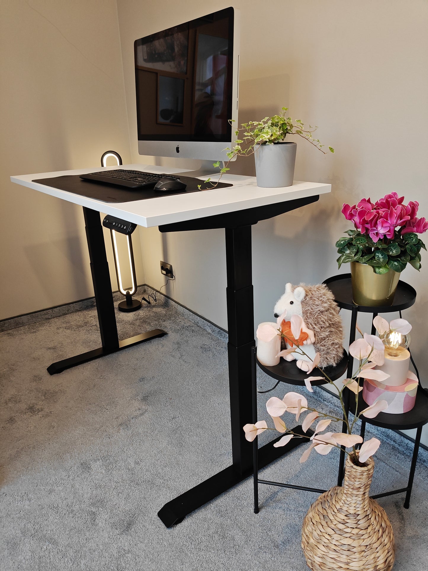 Luna Pro Desk