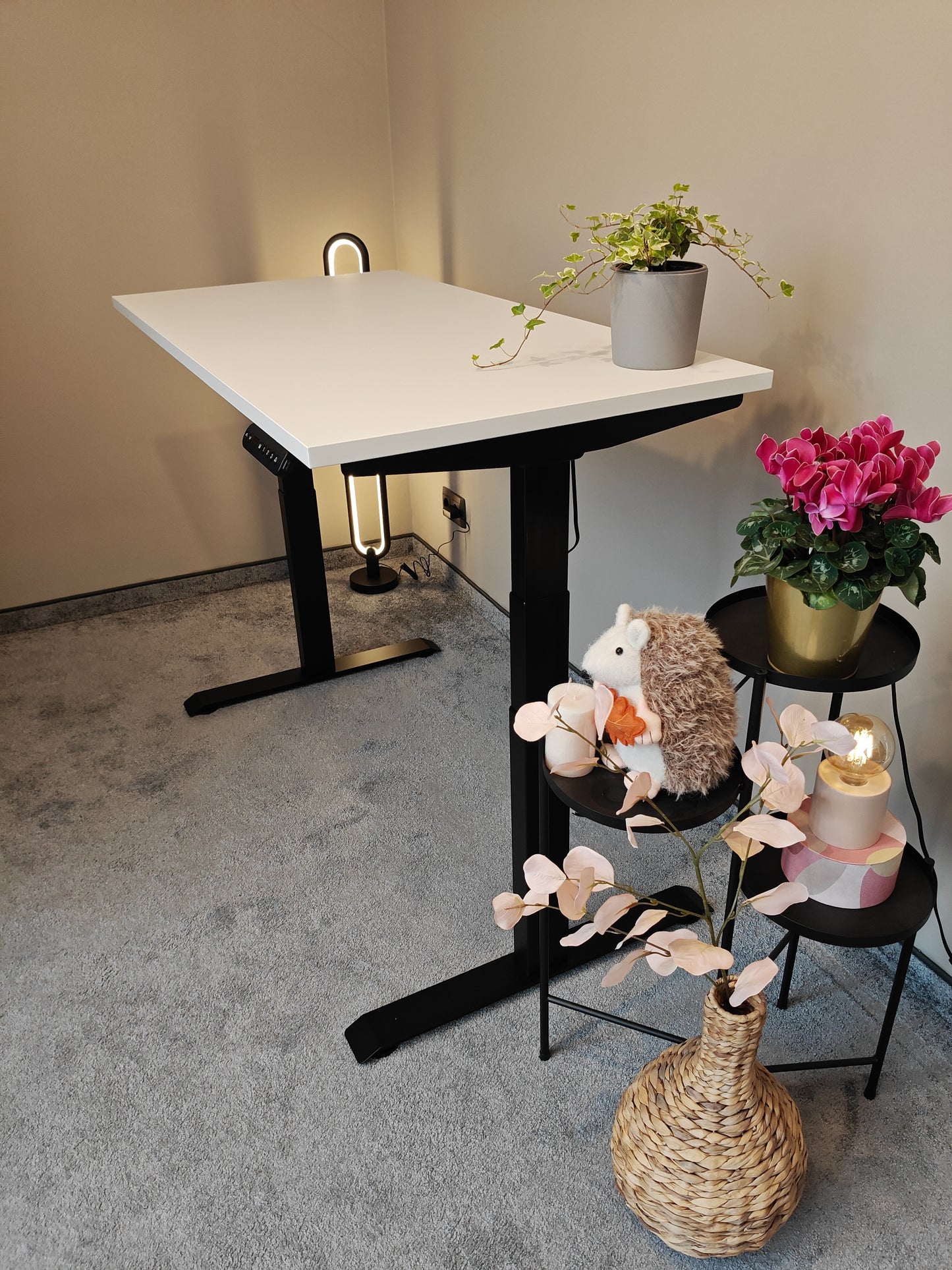 Luna Pro Desk