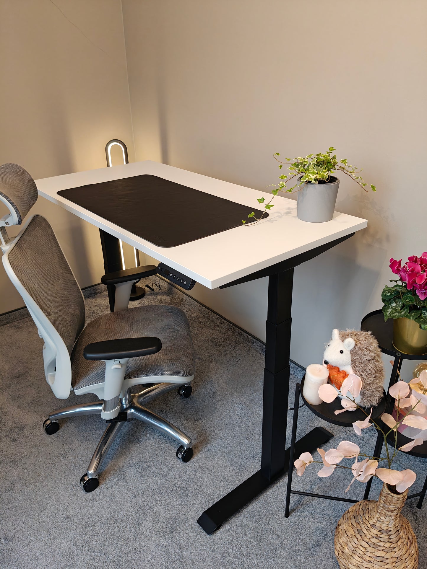 Luna Pro Desk