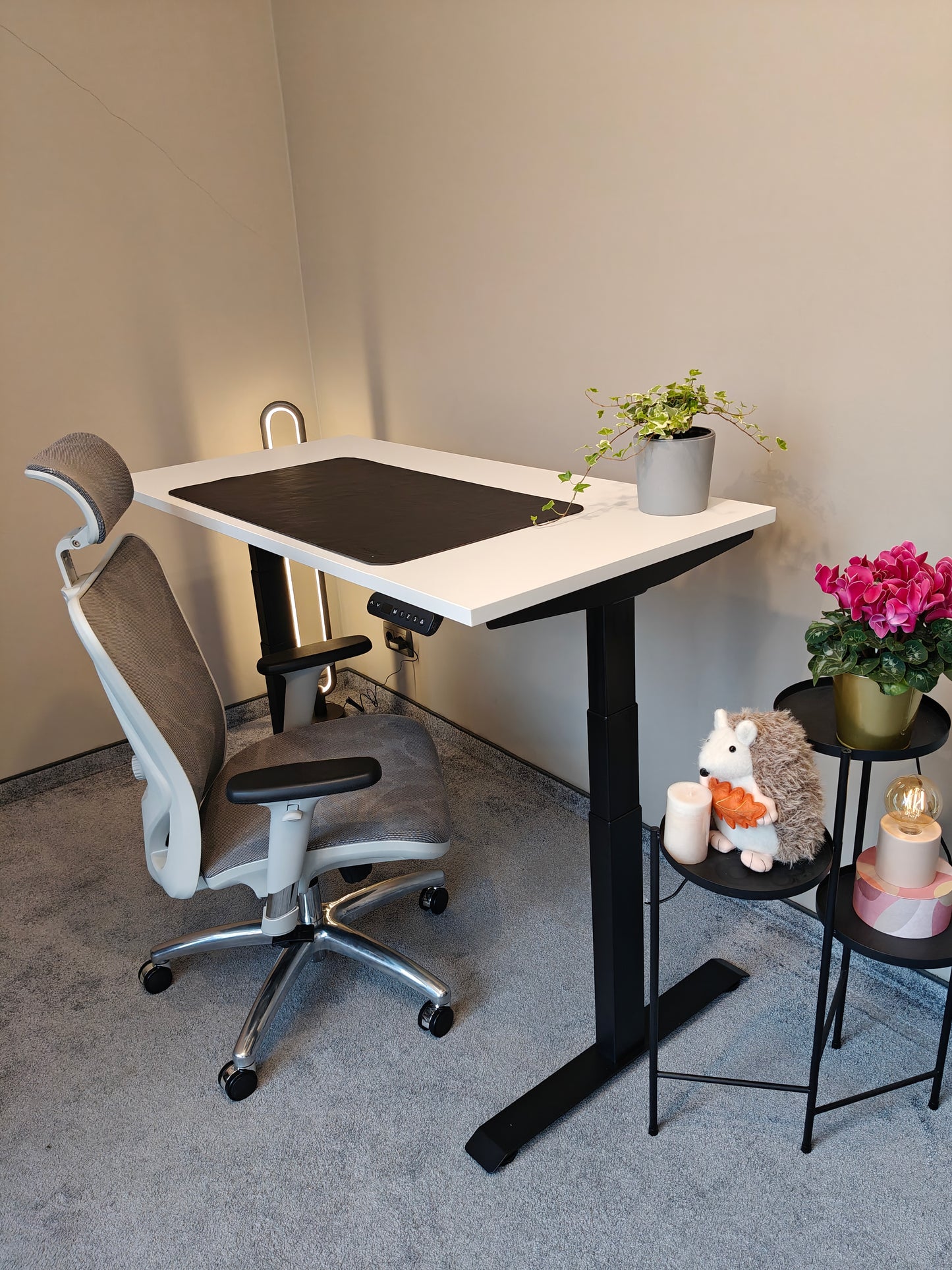 Luna Pro Desk