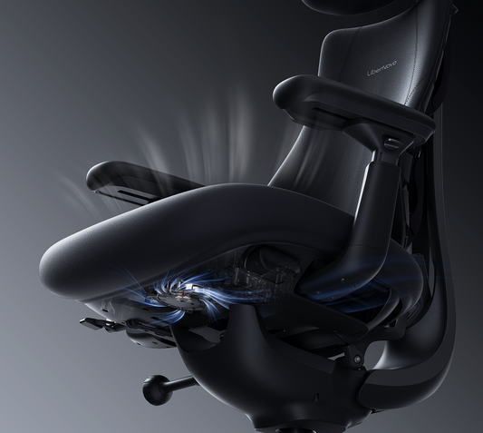 LiberNovo Omni Pro
