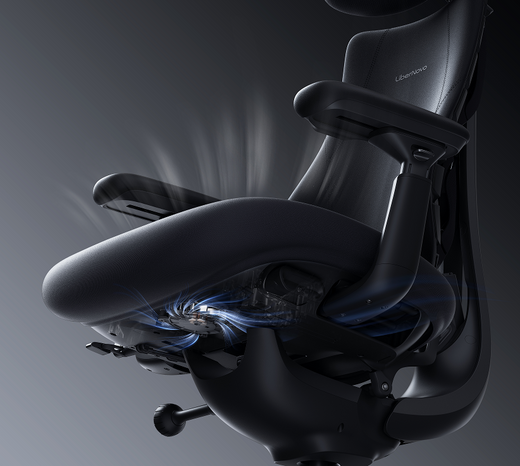 LiberNovo Omni Pro – Glacier / Graphite · ergoliv