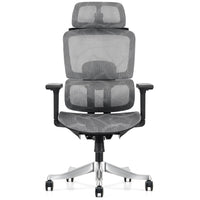 Scaun ergonomic Vision